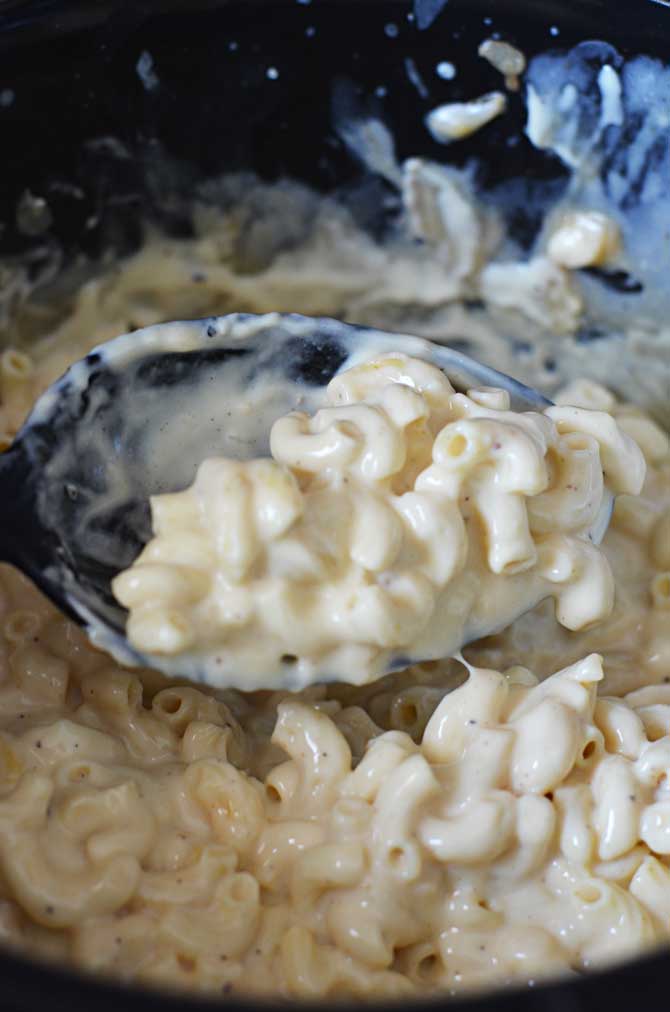 crave crock pot macaroni and cheese recipe